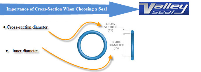 cross section of a seal