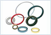 PTFE FlexiSeals