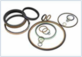 PTFE Fluid Power Seals