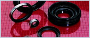 Rotary Shaft Seals