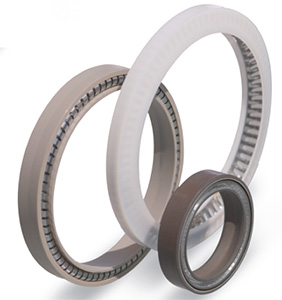 Spring Energized Seals