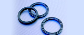 Hydraulic Seals