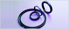 Piston Seals